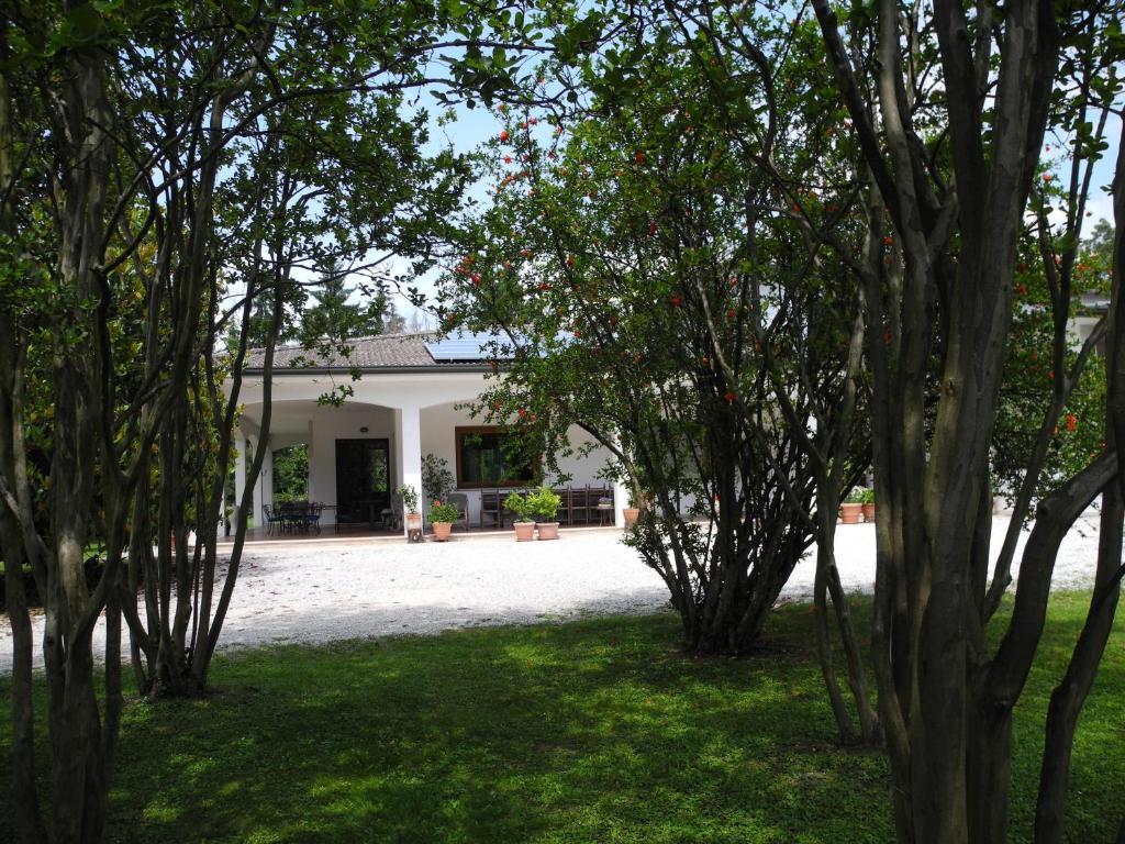 B&B Villa Miani Silea Exteriér fotografie